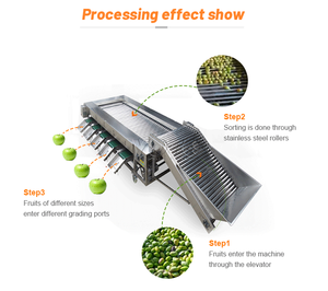 เครื่องคัดแยกผลไม้เครื่องคัดแยกและทำความสะอาดผักและผลไม้อัตโนมัติสายแอปเปิ้ล - Product Image 4