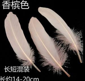 Nhuộm Màu Xanh Lá Cây Lông Ngỗng Cho Nghệ Thuật Thủ Công Mỹ Nghệ Tự Làm Mũ Mũ Tóc Trang Phục Phụ Kiện Lễ Hội Đảng Đám Cưới Nhà Halloween Trang Trí Nội Thất - Product Image 6