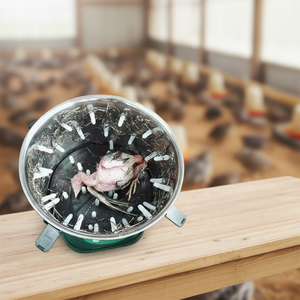 Máquina Desplumadora <span class=keywords><strong>de</strong></span> Codornices Mini al por Mayor, 12V, Portátil, Certificación CE, OEM Disponible, Precio <span class=keywords><strong>de</strong></span> Fábrica para la Eliminación <span class=keywords><strong>de</strong></span> Plumas <span class=keywords><strong>de</strong></span> Aves <span class=keywords><strong>de</strong></span> Corral - Product Image 6