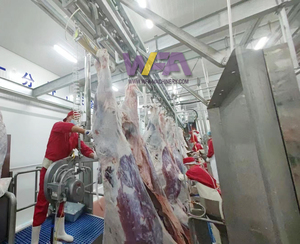 WFA complet 25-50 petit équipement d'abattoir, Machine de ligne de traitement d'abattage de boeuf de vache pour équipement de <span class=keywords><strong>boucherie</strong></span> - Product Image 5