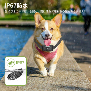 Petsuper Top Sellers 2024 Recargable Vibración Perro Sin golpes <span class=keywords><strong>Collar</strong></span> antiladridos con control inteligente de ladridos - Product Image 5