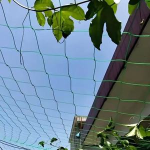 Plant Support Netting PE <strong>Trellis</strong> Netting Garden Netting for <strong>Cucumber</strong> Vine Fruits <strong>Trellis</strong> Netting 4.5x9 - Product Image 6