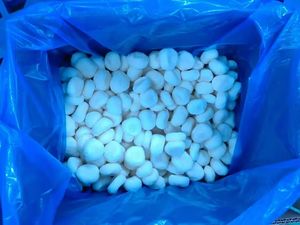 Castañas de Agua Congeladas IQF, Certificadas por HACCP, Sin Aditivos, para Cocinar y Culinaria - Product Image 3
