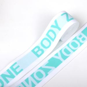 Factory Direct Sales Jacquard Elastic <b>Webbing</b> Tape Band for Underwear Waistband Garment - Product Image 1