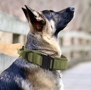 Collar inteligente GPS antipérdida para perros, ajustable, de <span class=keywords><strong>nylon</strong></span>, AirTag, características personalizadas para perros medianos y grandes, para entrenamiento al aire libre - Product Image 6