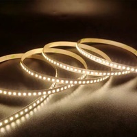 Bande lumineuse LED 2835 haute luminosité 5M 600 LED non étanche IP20 120 LED/m blanc froid pour extérieur avec télécommande