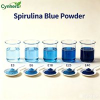 Poudre de Phycocyanine en Gros Qualité Alimentaire Extrait de Spiruline Bleue Poudre de Phycocyanine de Spiruline Bleue Soluble dans l'Eau