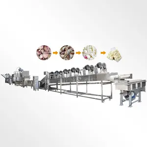 AICNPACK otomatik küçük kuru soğan pnömatik sarımsak soyma soyucu makinesi üretim hattı