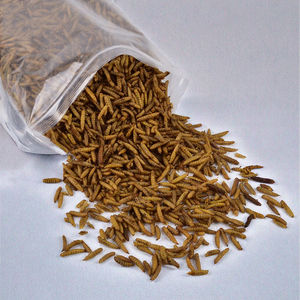 Larvas de Mosca Soldado Negra Liofilizadas, Alta Proteína, Digestión Sensible, Salud del Pelaje, Sin Granos, para Pollos, Gatos, Aves, Peces - Product Image 3