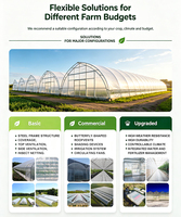 Conception de serres tunnel : Solutions personnalisées pour les problèmes climatiques et structurels