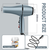 Sèche-cheveux professionnel à moteur AC très vendu avec concentrateur/diffuseur/lumière bleue ionique