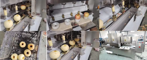 産業用Apple Core Remover Machine Apple Peel and Core Removing Machine Apple Skin Peeling Core Cutter Machine - Product Image 3