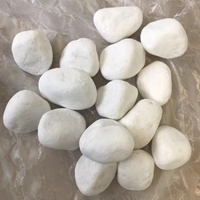Galets de jardin blancs naturels, blanc neige, de fabrication chinoise - Écologiques, durables, design rustique pour villa