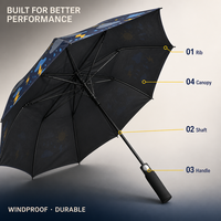 Parapluie de golf à double couche coupe-vent avec impression ciel arc-en-ciel et éclairs, grand parasol personnalisé avec graphique météo pour utilisation en extérieur