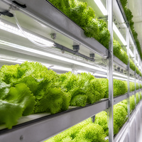 Usine horticole automatisée en conteneur, serre intelligente pour l'agriculture verticale avec système de climatisation, pompe et éclairage LED pour la croissance des plantes