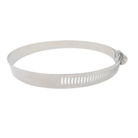 Collier de serrage réglable en acier inoxydable