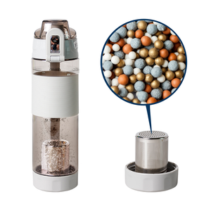 Botella de Agua Deportiva de 650 ml con Filtro de Agua Alcalina Ionizante - Product Image 1