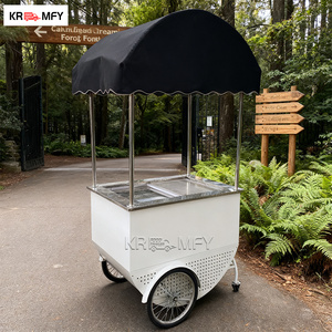 Chariot mobile de restauration rapide en métal résistant à la rouille pour la vente de gelato, crème glacée et de fleurs, avec congélateur intégré - Product Image 4