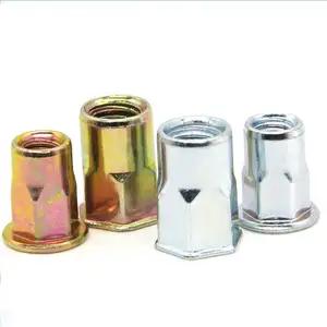 Chinese High-Quality Manufacturer Of Striped Embossed Zinc Rivet Nuts
