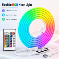 Set Lampu Neon RGB dengan Remote Kontrol Inframerah 24 Tombol USB 1-5 Meter