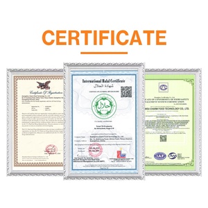 OEM Halal chứng nhận 1kg thương mại đa hương vị cứng phục vụ kem trộn bột với - Product Image 6