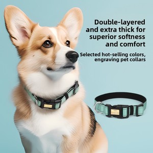 Collar y Correa para Perro Transfronterizo Grabable Antipérdida para Paseo al Aire Libre y Antiescape FB-103-104 - Product Image 2