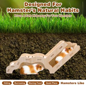 Túnel de Exploración y Escondite Versátil para Hámsteres, Casa para Hámsteres, Escalera de Madera para Hámsteres - Product Image 2