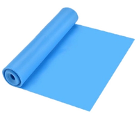 Bande de résistance d'exercice en latex plat TPE personnalisée avec logo, bande de fitness, bande de thérapie
