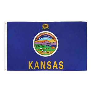 Bandiera Nazionale delle Isole delle Marianne del Nord 3x5 Ft, Stampa Digitale Anti-Piega in Poliestere per Esterni - Product Image 5