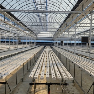 Sistema Idroponico Verticale NFT per Serre Agricole Interne ed Esterne per Coltivatori Commerciali di Lattuga - Product Image 6