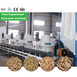 Ligne de production de granulés de bois de biomasse Ligne de production de granulés de biomasse Coquille de noix de coco Paille de riz - Product Image 4