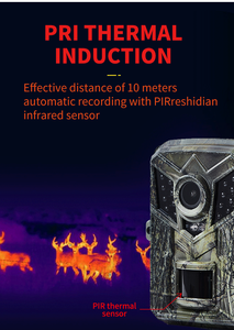 Mini caméra de jeu de piste de chasse Meilleures caméras de piste Caméra de chasse numérique avec Fcc/Ce/ Rohs - Product Image 2