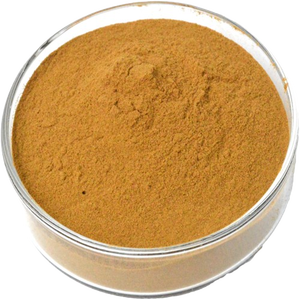 Natuurlijke Plant Rozemarijn Extract Puur Rozemarijn Blad Extract Poeder - Product Image 2