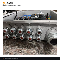 LONTU Vernickelte Messing-Kabelverschraubung Explosionsgeschützt M G NPT Gewinde Ex Eb IIC Gb IP66 Bergbau Industrieausrüstung