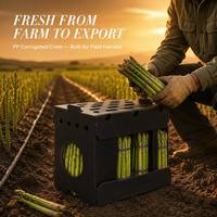 Caisse pliable en PP ondulé pour asperges, empilable, en carton alvéolé, respirante, anti-humidité, pour l'emballage de produits frais, exportation