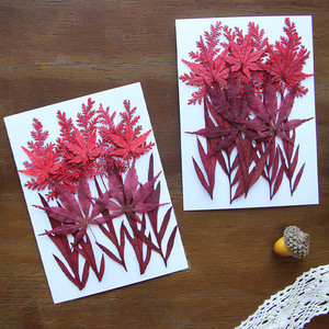 ZS025 Plantes séchées, fleurs pressées, verdure et fougères pour décorations de Noël et de remise de diplôme, pour la création de savons, bougies, cadres et colliers - Product Image 2