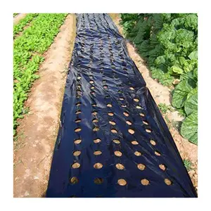 Agricultural Plastic Products Black And Silver Mulching Film Agricultural Plastic Mulch Film