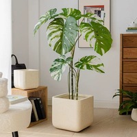 Carré Magnésium Boue Ciment Pot De Fleur Nordique Grand Diamètre Simple Carré Pot Dragon Sang Arbre Monstre Bambou Plante Verte
