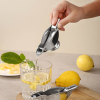 Handmatige Citroenpers, Roestvrijstalen Visvorm Citroenpers, Handmatige Citroenschijfpers, Ergonomisch Ontwerp Citruspers