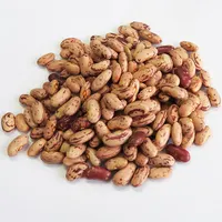 For Sale red kidney beans price with Light Speckled Kidney Beans