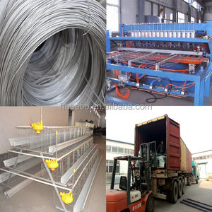 Jaula para Aves de <span class=keywords><strong>Corral</strong></span>, Gallinero Comercial, Jaula para Pollos, Casa de Gallinas, Criadero de Gallinas - Product Image 4