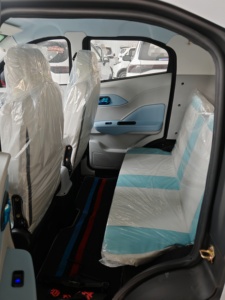 Auto Eléctrico BRT Seagull MINI, Vehículo Eléctrico de Baja Velocidad, Interior Azul y Blanco, Auto de Nueva Energía, Hecho en China - Product Image 2