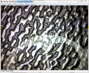 USBポータブルミニビデオ顕微鏡学生Androidスマートフォンwifiデジタル顕微鏡単眼調整<span class=keywords><strong>500X</strong></span>/100X - Product Image 3