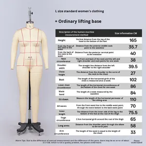 Tête de <span class=keywords><strong>mannequin</strong></span> ajustable pour couturière, taille S, pose debout, pour vêtements féminins, modèle européen et américain - Product Image 6