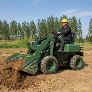 Mini Cargadora Compacta con Motor Eléctrico EPA, 4x4, Cargador Frontal de 1000 kg, para el Hogar, en Oferta - Product Image 1