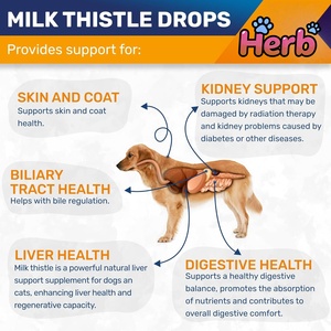 Gouttes d'extrait de chardon-marie pour la détoxification du foie, compléments alimentaires naturels, complément alimentaire, gouttes de chardon-marie pour animaux de compagnie - Product Image 4