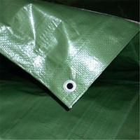 Système de bâche d'extérieur robuste et imperméable en PEHD enduit pour camions – Léger, pour filles et garçons