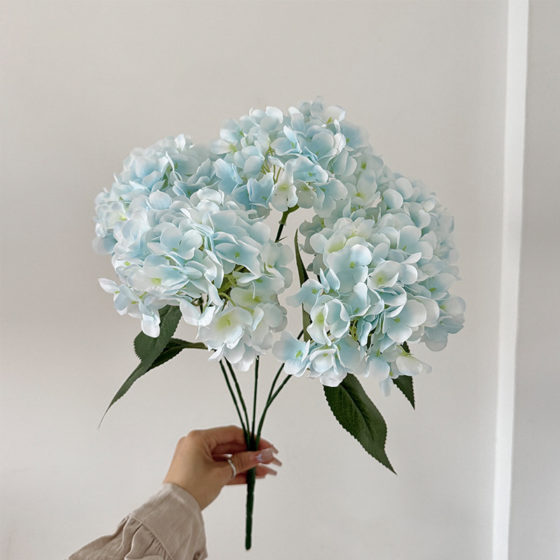 Bleu clair
