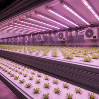 Ferme verticale hydroponique sur mesure à grande échelle, alimentée à l'énergie solaire, pour la culture de la laitue, avec structure en acier et conteneur
