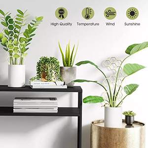 <span class=keywords><strong>Support</strong></span> de plante grimpante en <span class=keywords><strong>bois</strong></span> moderne de 30 cm, cadre créatif pour plantes grimpantes, <span class=keywords><strong>support</strong></span> de fleurs, <span class=keywords><strong>support</strong></span> de pot de jardin, poteaux de <span class=keywords><strong>support</strong></span> fixes - Product Image 6